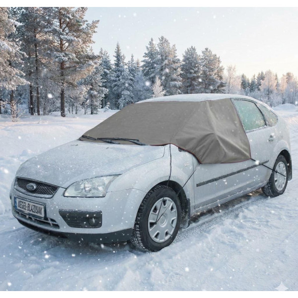 Чохол на лобове скло від замерзання 100 x 135 x 146 см Winter Plus Maxi
