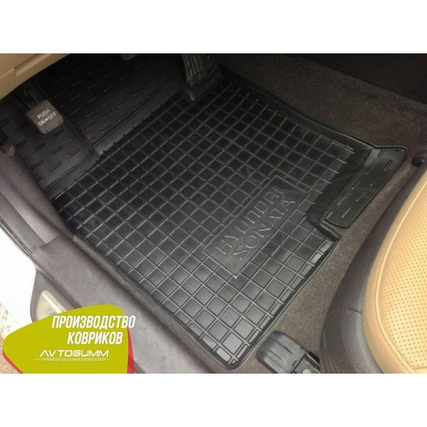 Автомобильные коврики для Hyundai Sonata (YF) 2009-2015 (Avto-Gumm)