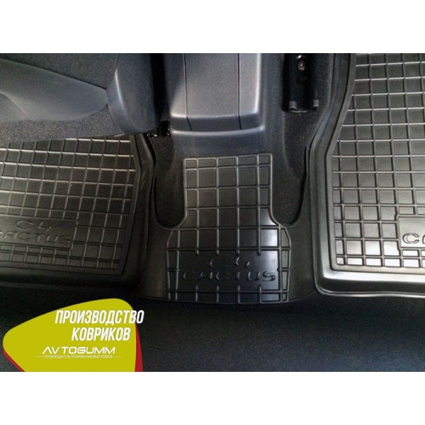 Автомобильные коврики в салон Citroen C4 Cactus 2015- (Avto-Gumm)