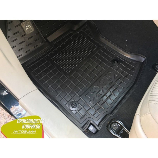 Автомобильные коврики в салон для Toyota Venza 2008- (Avto-Gumm)