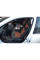 Авточохли модельні MW Brothers для Toyota Camry V 50 c 2012
