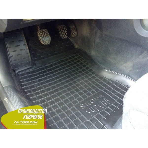 Автомобильные коврики в салон Skoda SuperB 2001-2008 Avto-Gumm