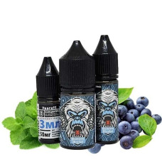 Жидкость Самозамес Flavorlab FL350 30ml Blueberry Menthol Черника Ментол