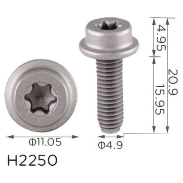 Винт Volkswagen, Seat, Audi, Skoda M5 (N10569501, 19224) (H2250)
