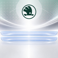 Антигравийная защитная бронепленка по лекалам для Skoda Kamiq I 2019- нижняя зона кузова пороги