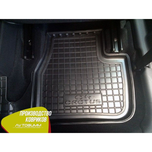 Автомобильные коврики в салон Citroen C4 Cactus 2015- (Avto-Gumm)