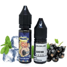 Рідина Самозаміс Flavorlab FL350 Mini 15ml Currant Menthol Смородина Ментол