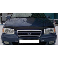 Дефлектор капоту мухобійка для Hyundai Trajet 1999-2008