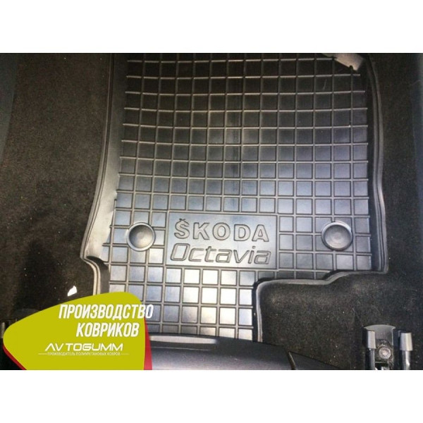 Автомобильные коврики в салон Skoda Octavia A5 2004- Avto-Gumm