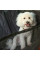 Автокрісло для собак складане Happy Dog 147 x 135 см Водонепроникне (GD-13)