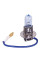 Автолампа галогенная Pulso H3 PK22S 12V 55W+50% X-treme Vision box 1 шт
