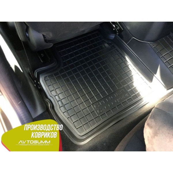 Автомобільні килимки в салон Citroen C-Elysee 2013- (Avto-Gumm)