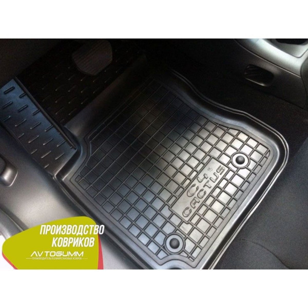 Автомобильные коврики в салон Citroen C4 Cactus 2015- (Avto-Gumm)