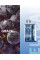 Elf Bar TE5000 POD 5% Оригинал Grape Виноград (Подзаряжаемый)