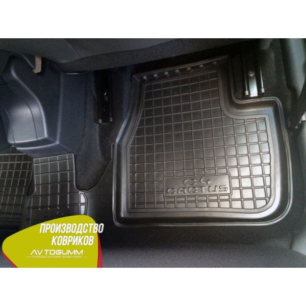 Автомобильные коврики в салон Citroen C4 Cactus 2015- (Avto-Gumm)