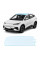 Антигравийная защитная бронепленка по лекалам для BYD Atto 3 (Yuan Plus) I facelift 2025- зона крыши